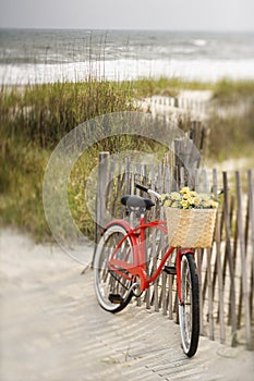 Bike leaning against fence