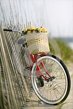 Bike leaning against fence