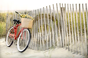 Bike leaning against fence