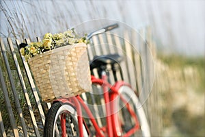 Bike leaning against fence