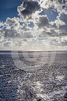 Bike at low tide