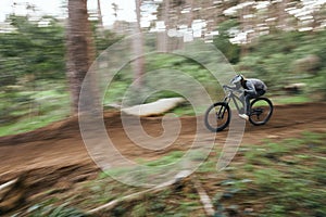 Bike, man in woods and speed blur in workout outdoor at forest for healthy body. Mountain bicycle, nature and fast