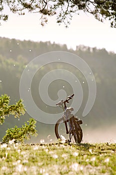 Bike parked on a hill