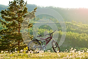 Bike parked on a hill