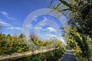 Bike path at Busto Garolfo along the canal Villoresi photo