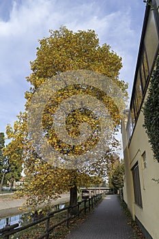 Bike path at Castano Primo along the canal Villoresi photo