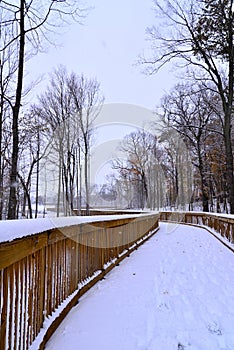 Bike Path Covered with Winter Snow in Autumn