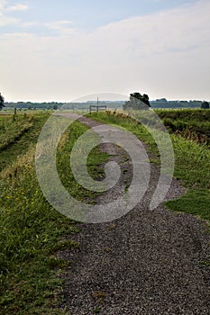 Bike path on an enbankment in the middle of the fields in the italian countryside in summer