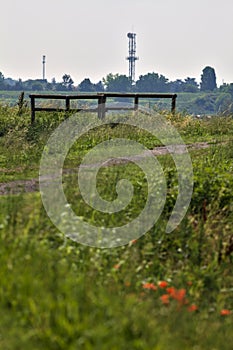 Bike path on an enbankment in the middle of the fields in the italian countryside in summer