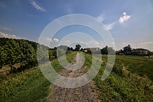 Bike path on an enbankment in the middle of the fields in the italian countryside in summer