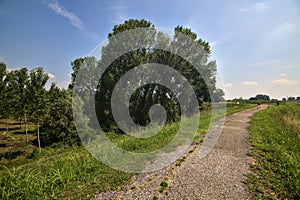 Bike path on an enbankment in the middle of the fields in the italian countryside in summer