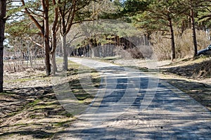 Bike path in the forest. New bike road. Bike path along the beach