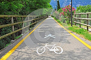 Bike path in the park