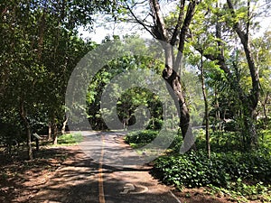 Bike path through Sri Nakhon Khuean Khan Park
