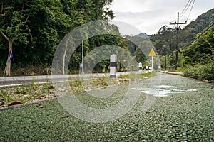 Bike Path to Ruksavarin Public Park