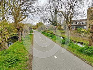 Bike path with trees