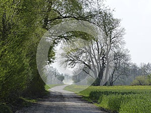 Bike path Wurmtal in Bavaria, Germany