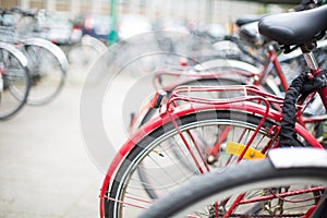 Bike rental service - Many bikes standing in bike stands