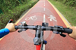 Bike ride in the forest