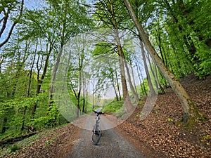 Bike ride in the green forest with blue, clear sky and peaceful surroundings. Lonely bike on the road.