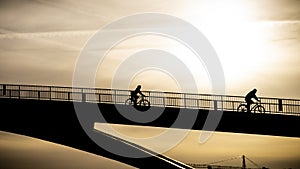 A bike-rider drive down the bridge in the late backlight sun near Cologne