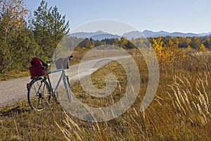 Bike route through isar floodplain, autumnal grassland and fores photo
