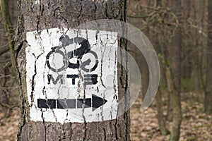 Bike sign on tree trunk