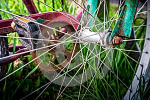 Bike Spokes Closeup in grass