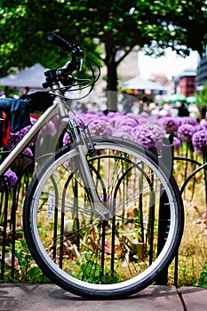 A bike in the Spring