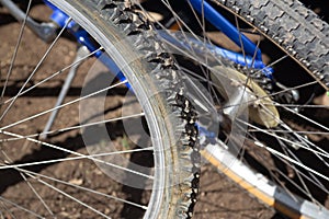 A Bike Tire photo