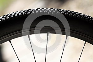 Bike Tire and Spokes Biking Wheel photo