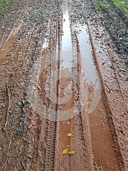 Bike tire tracks on muddy trail in rainy season of countryside