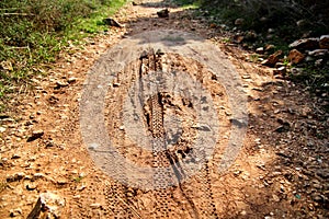 Bike tire tracks on muddy trail royalty. Tire tracks on wet muddy road, abstract background, texture material.