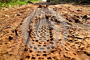 Bike tire tracks on muddy trail royalty. Tire tracks on wet muddy road, abstract background, texture material.