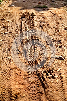 Bike tire tracks on muddy trail royalty. Tire tracks on wet muddy road, abstract background, texture material.