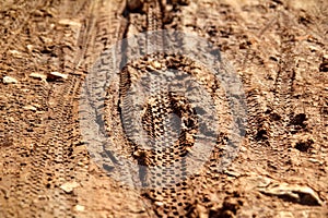 Bike tire tracks on muddy trail royalty. Tire tracks on wet muddy road, abstract background, texture material.