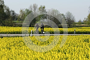 Bike tour in spring