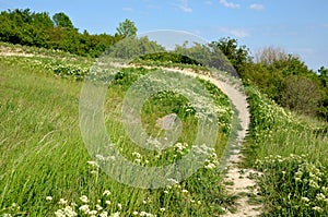 Bike track trail bends tilted jumps in meadow trail enduro meadow downhill racing enduro bicycle sport mountain summer alpen