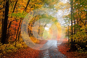 Bike trail through autumn trees