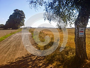 Bike trail with bicycle sign on tree