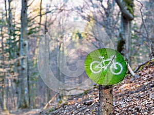 A bike trail sign painted on a tree stump in the forest. Mountain bike path