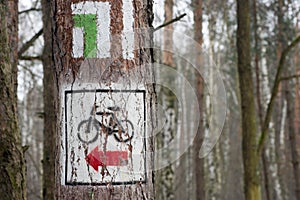 Bike trail sign on tree