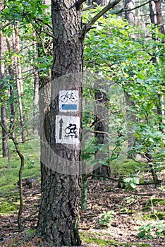 Bike trail sign on tree