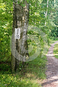 Bike trail sign on tree