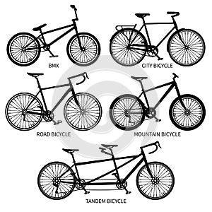 Bike types vector black silhouettes. Road, mountain, tandem bicycles isolated