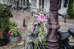 Bike usage in Amsterdam has grown by more than 40% in the last 20 years