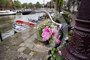 Bike usage in Amsterdam has grown by more than 40% in the last 20 years