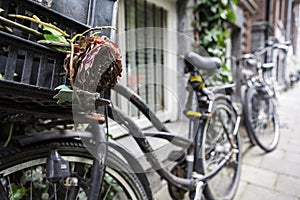 Bike usage in Amsterdam has grown by more than 40% in the last 20 years