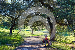 Bike by Via de la Plata way in Andalusia Dehesa