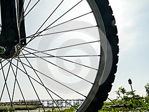 Bike wheel silhuete on beech